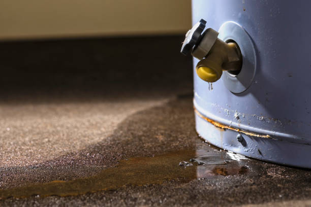 Best Carpet water damage restoration  in Mountain View, NC
