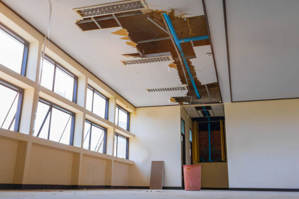 Best Water damage cleanup near me  in Mountain View, NC