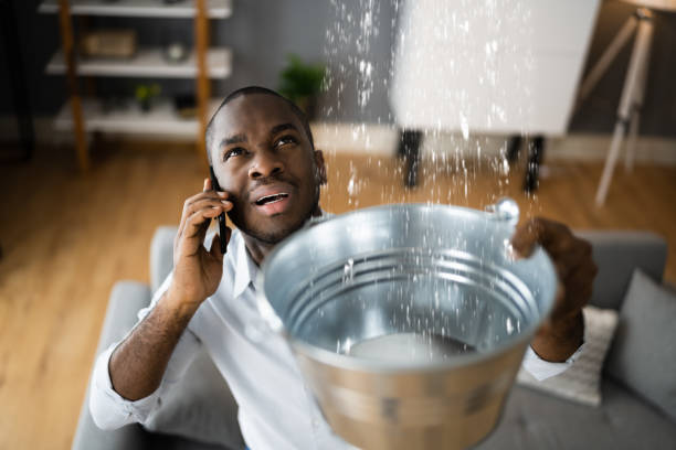 Best Water damage restoration near me  in Mountain View, NC