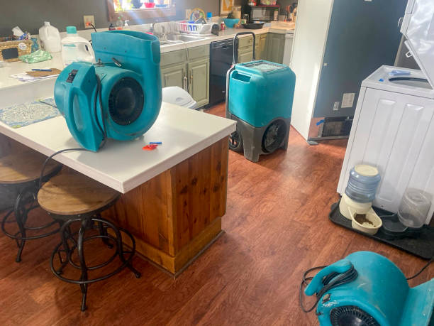 Best Residential water damage restoration  in Mountain View, NC