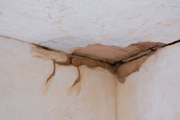Mountain View, NC Water damage restoration Company