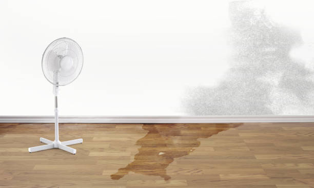 Best Emergency water damage restoration  in Mountain View, NC
