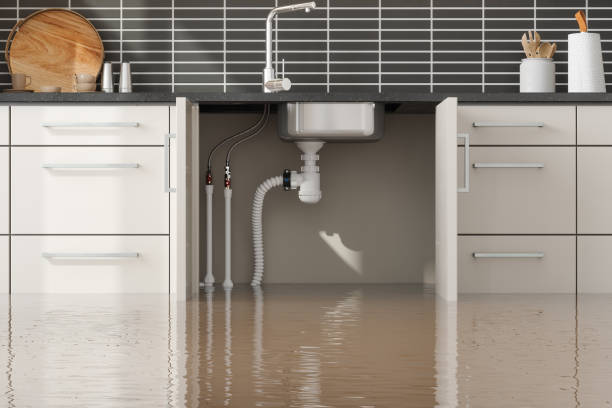 Best Basement water damage restoration  in Mountain View, NC