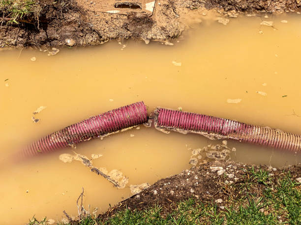Best Water damage restoration insurance claims  in Mountain View, NC