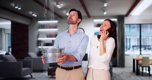  Mountain View, NC Water damage restoration Pros